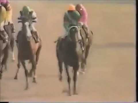 【競馬】レベルの高かった前哨戦は？