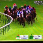 【競馬】凱旋門賞って重馬場だと日本馬は不利なの？