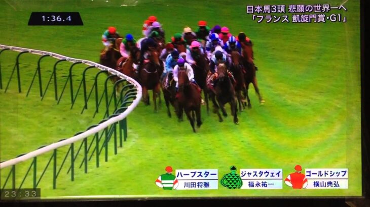 【競馬】凱旋門賞って重馬場だと日本馬は不利なの？