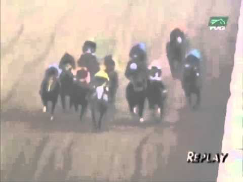 【競馬】エクアドル競馬で衝撃の事件！蓋をしてきた騎手に右ストレートをお見舞いして落馬させる