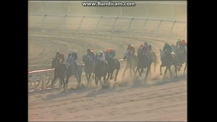 【競馬】欧州の芝は深くてパワーが要るっていうけどダート馬出せば勝てるんじゃないの？