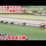 【競馬】一口馬主始めたら出資してる馬が4頭とも新馬戦勝った