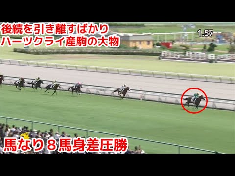 【競馬】一口馬主始めたら出資してる馬が4頭とも新馬戦勝った