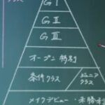 【競馬】調教師試験はどれぐらい難しい試験なの？実際の合格者数は…