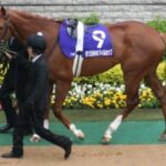 【競馬】ウマ娘化に期待！？名馬「ディープスカイ」についての話