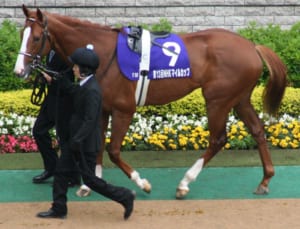 【競馬】ウマ娘化に期待！？名馬「ディープスカイ」についての話