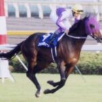 【競馬】スペシャルウィークは栗毛が嫌いだった？馬の毛色がもたらす影響とは