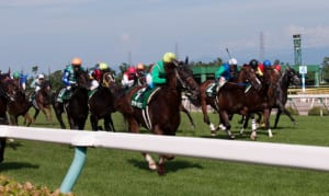 競馬土地さえあれば直線3000mのコースと作れたのかな