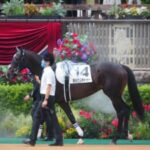 【競馬】新たに制作されたタイトルホルダーのヒーロー列伝、カッコいいよね！