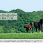 【競馬】ミックスセール2022に出されたキタスイの娘、ピエドラデルーナは600万円でシンボリ牧場が落札