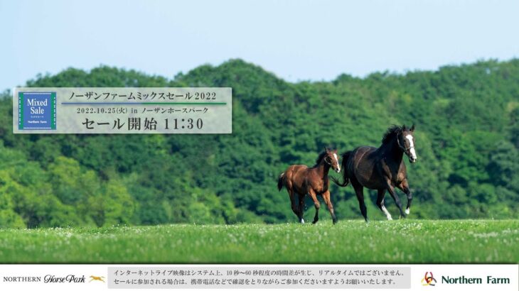 【競馬】ミックスセール2022に出されたキタスイの娘、ピエドラデルーナは600万円でシンボリ牧場が落札