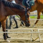 【競馬】これは競馬の恐ろしさを思い知る出来事だった……