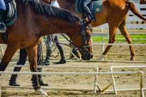 【競馬】これは競馬の恐ろしさを思い知る出来事だった……