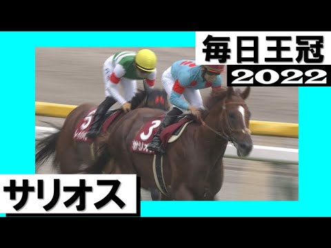 【競馬】スヤスヤサリオス君、可愛すぎる