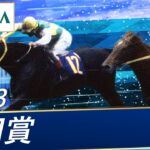 【競馬】シービーの現役動画ほとんどないから、どんな走りだったのか気になる