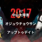 【ウマ娘民の反応】「お疲れ様」オジュウチョウサンが今年で引退　12月24日の中山大障害がラストランに