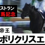 【ウマ娘】ボリクリ有馬レコード→翌年ロブロイ有馬レコード