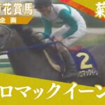 【競馬】カンテレさん、芦毛の菊花賞馬特集をする