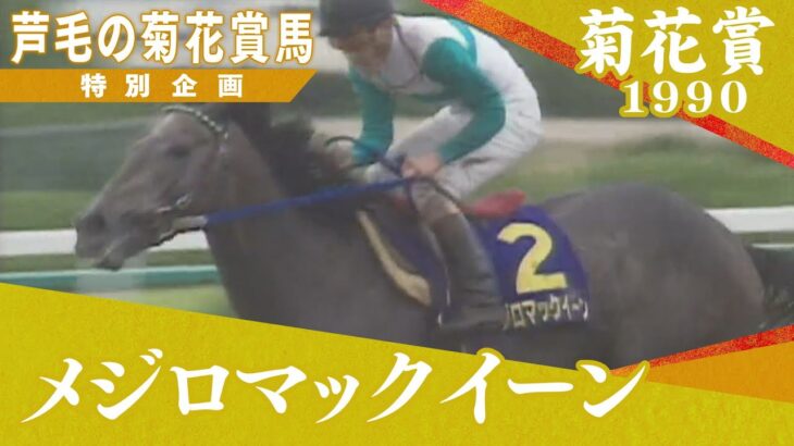 【競馬】カンテレさん、芦毛の菊花賞馬特集をする