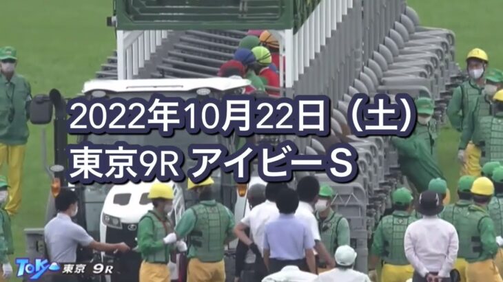 【競馬】藤田晋オーナーの「チャンスザローゼス」アイビーSを逃げ切り勝利！