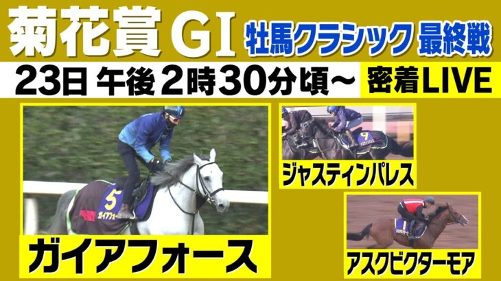 【競馬】菊花賞を制したのは「アスクビクターモア」！ レコード勝利！！！