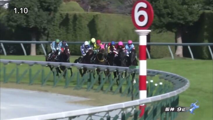 【競馬】藤田晋オーナーの「ドーブネ」、武田尾特別を逃げ切り快勝！