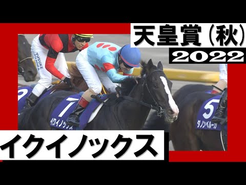 【競馬】パンサラッサが大けやき越えていくところ泣いたわ　ありがとうパンサラッサ