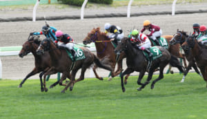 【競馬】スプリント戦で大外一気を決めた馬と言えば誰が浮かぶ？