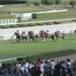 【競馬】ゴルシ産駒、ユーバーレーベン全弟の「マイネルエンペラー」が新馬戦を快勝！