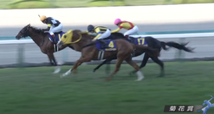 【競馬】菊花賞はアスクビクターモアが勝利！ダービーで見せた驚異のスタミナは本物だった