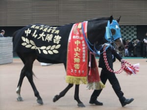 【競馬】オジュウチョウサンが居ない中山GJは8年ぶりというワードは歴史を感じさせる