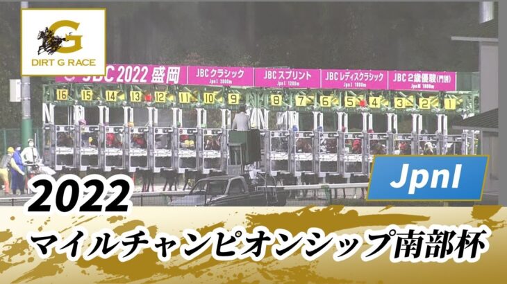 【ウマ娘民の反応】「いい勝負だった」マイルCS南部杯はカフェファラオが優勝！