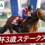 【小ネタ・画像】JRAさん、毎日王冠などグラスワンダーの重賞勝ちレースを3本公開！　他ウマ娘小ネタまとめ