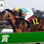 【小ネタ・画像】JRAさん、日経賞などシンボリルドルフの重賞勝ちレースを3本公開！　他ウマ娘小ネタまとめ