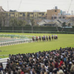 【競馬】競馬場に行くことで体験できること！馬群の足音は迫力があって感動した