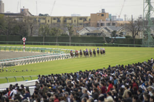 【競馬】競走馬の中でも特に短い名前ってどんな馬が居るのかな？