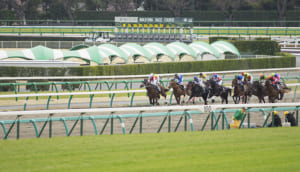 【競馬】珍名馬以外で何故か記憶に残っていた馬の名前を教えてほしい