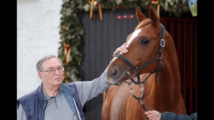 【競馬】トルカッタータッソ君、牛と一緒に放牧される