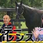 【競馬】『サンデーサイレンスとホースマン達の軌跡』が期間限定で見逃し配信中！【感想まとめ】