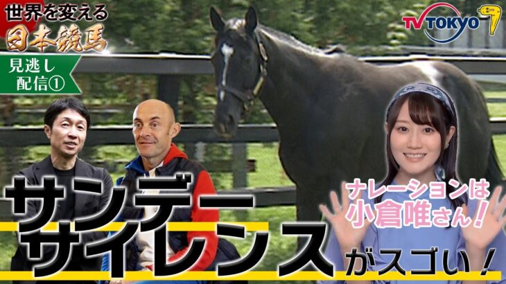 【競馬】『サンデーサイレンスとホースマン達の軌跡』が期間限定で見逃し配信中！【感想まとめ】