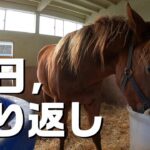 【ウマ娘】たくさんの人と時間をかけて競走馬、競馬が成り立ってるんだよねぇ