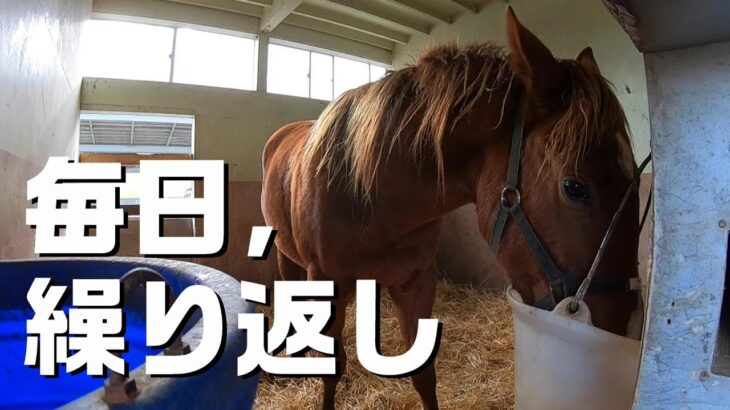 【ウマ娘】たくさんの人と時間をかけて競走馬、競馬が成り立ってるんだよねぇ