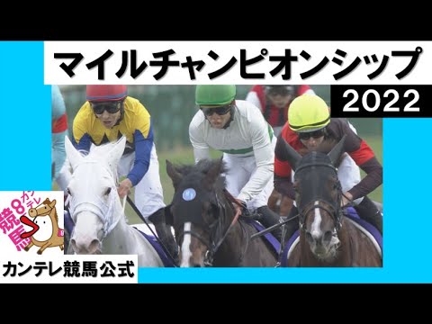 【小ネタ・画像】構ってほしくてロープをはみはみするメイショウドトウ　他ウマ娘小ネタまとめ