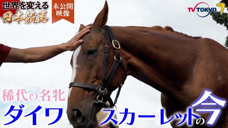 【競馬】ダスカは馬鹿って言うけどどういう感じの馬鹿なの？