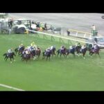 【競馬】グローリーヴェイズは次走の香港ヴァーズがラストラン！引退後は種牡馬に