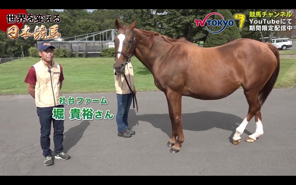 【ウマ娘】妊娠中ダスカのポテ腹😍