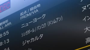 【競馬】競走馬の輸送は馬自身にも負担が掛かる大変な作業