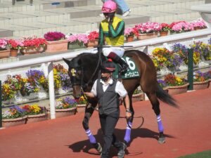 【競馬】ラジオの音楽を聴いてノリノリになるオーヴェルニュ(スマートファルコン産駒）が可愛い