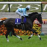 【競馬】デアリングタクトは新たにマーカンド騎手とのコンビでJCに臨む模様！