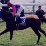 【競馬】メイショウドトウのインスタライブを見たトレーナーたちの反応